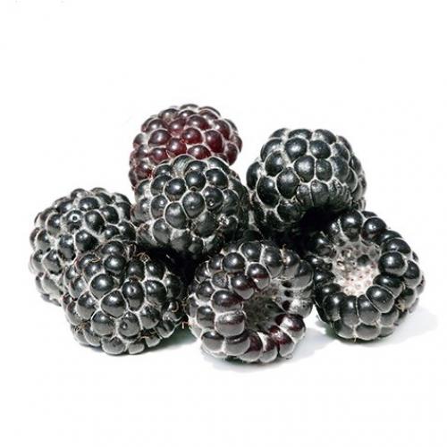 black raspberries 2