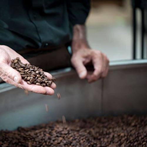coffee roasting2