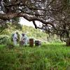 conservation projects funded by business social enterprise businesses