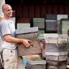 natural beekeeping manuka honey