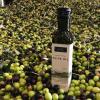 rangihoua olive oil best in class 2