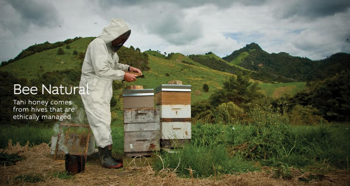 bee natural responsible harvesting2